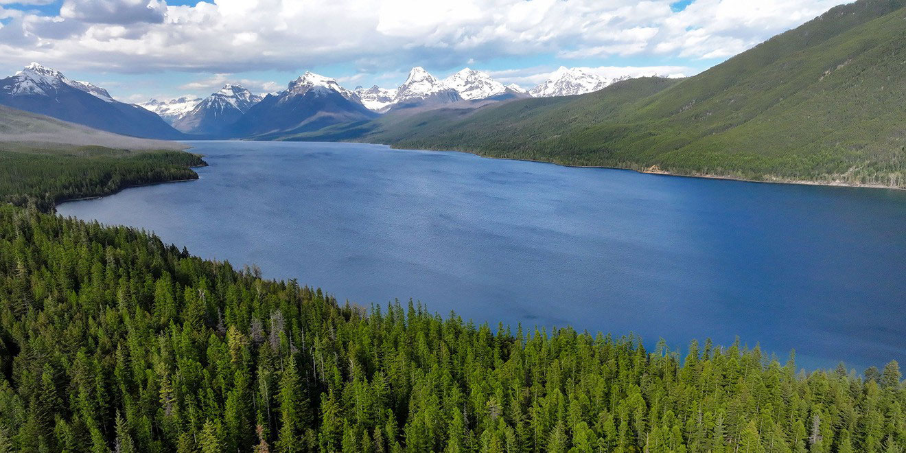 Forested Shoreline of Lake McDonald